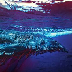  : Sailing the Vastness of Oceans